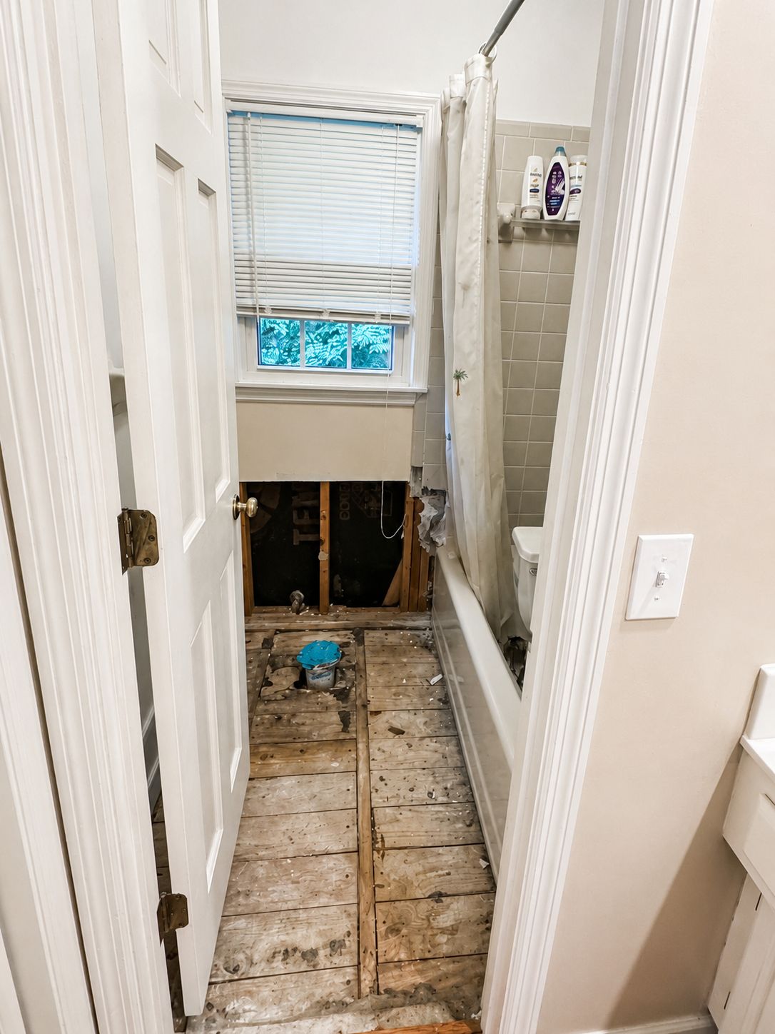 full bathroom gut renovation Davidson County Tennessee before and after