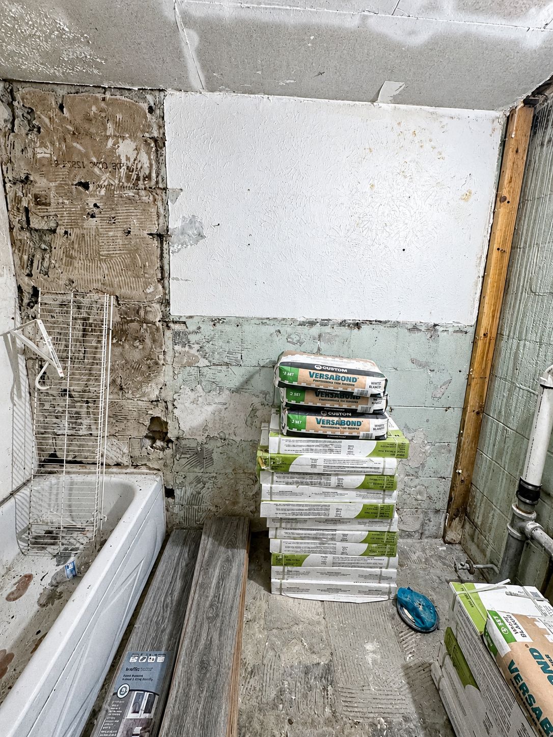 full bathroom gut renovation Davidson County Tennessee before and after