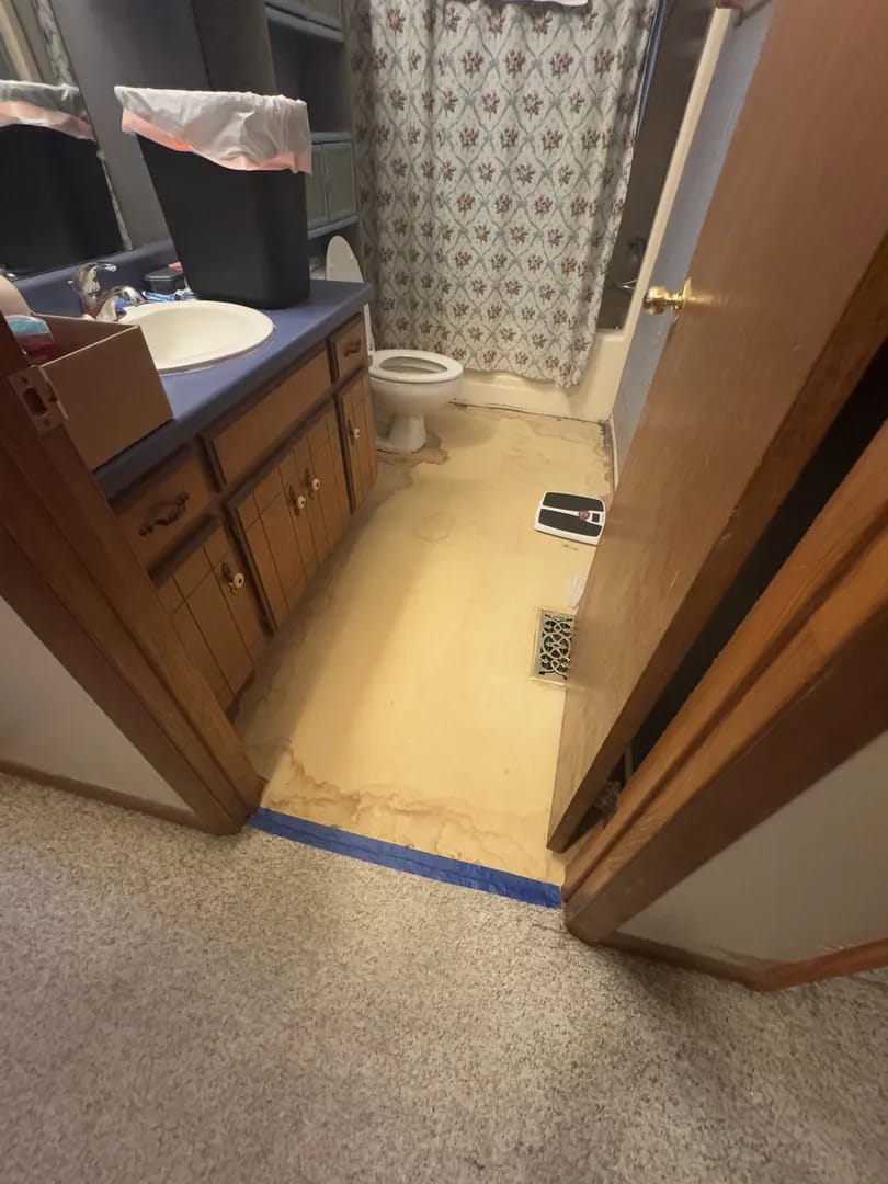 Room before mold remediation - Summertime Dr, Murfreesboro